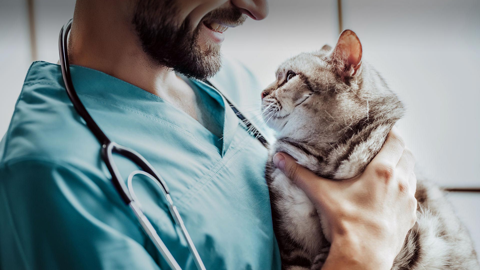 Arnavutköy Veteriner